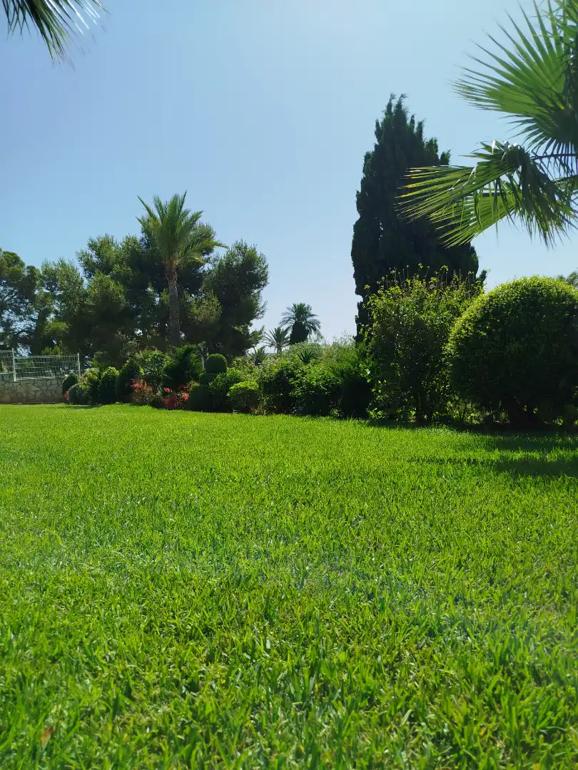 Jardí de Residencial en venda en Alcalà de Xivert