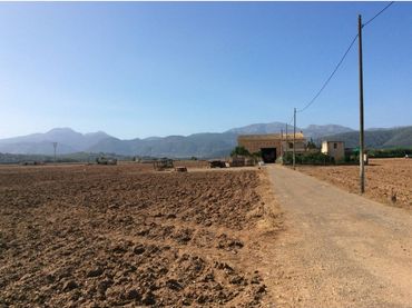 Terreni e lotti in vendita a Sa Pobla