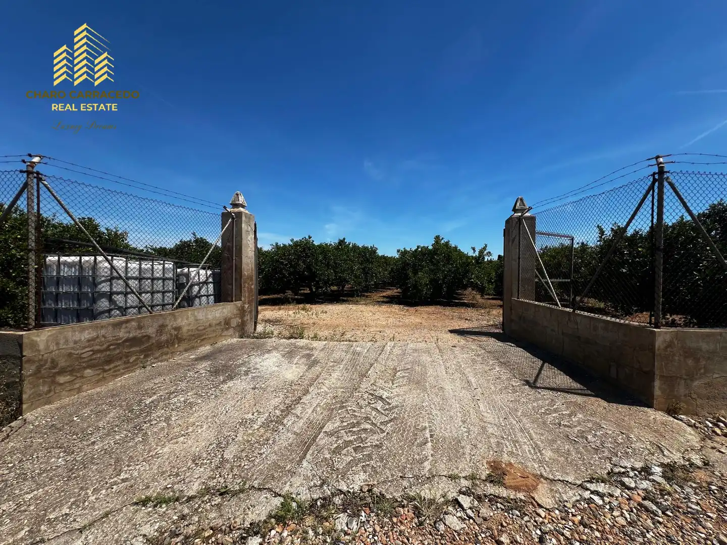 Terreno rústico en venta en Camí de la Murta-Ombria, imagen 4