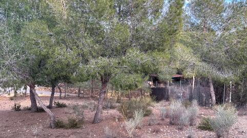 Foto 3 de Finca rústica en venda a Camino de las Balsas, El Esparragal, Murcia