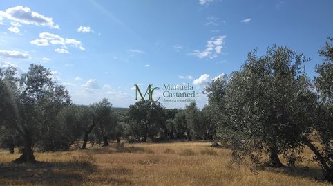 Foto 4 de Finca rústica en venda a Guareña, Badajoz