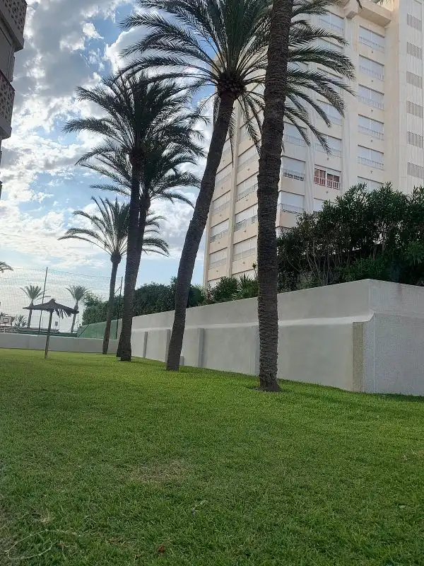 Piso de alquiler en Avenida de Niza, Playa de San Juan