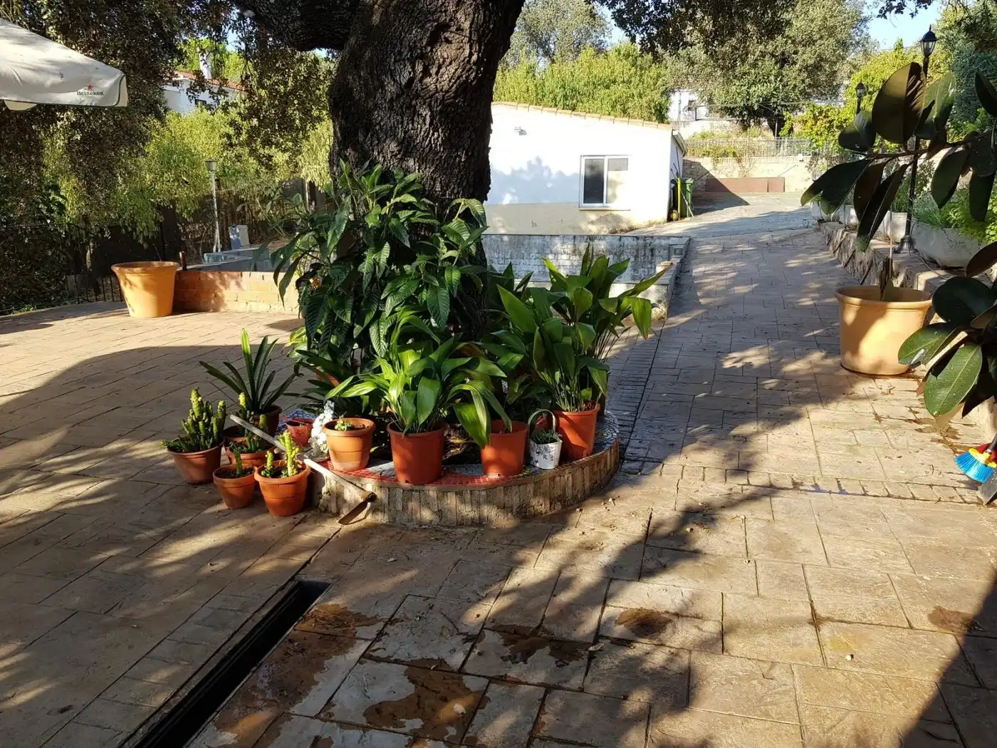 Chalet en venta en Casar de Cáceres, imagen 4