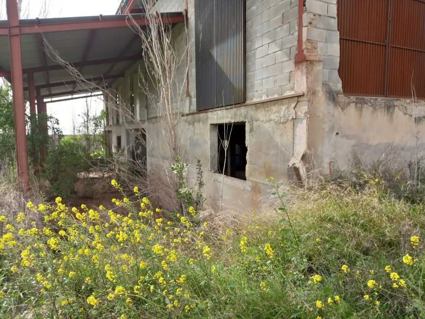 Local commercial à vendre à Pulianas, imagen 11