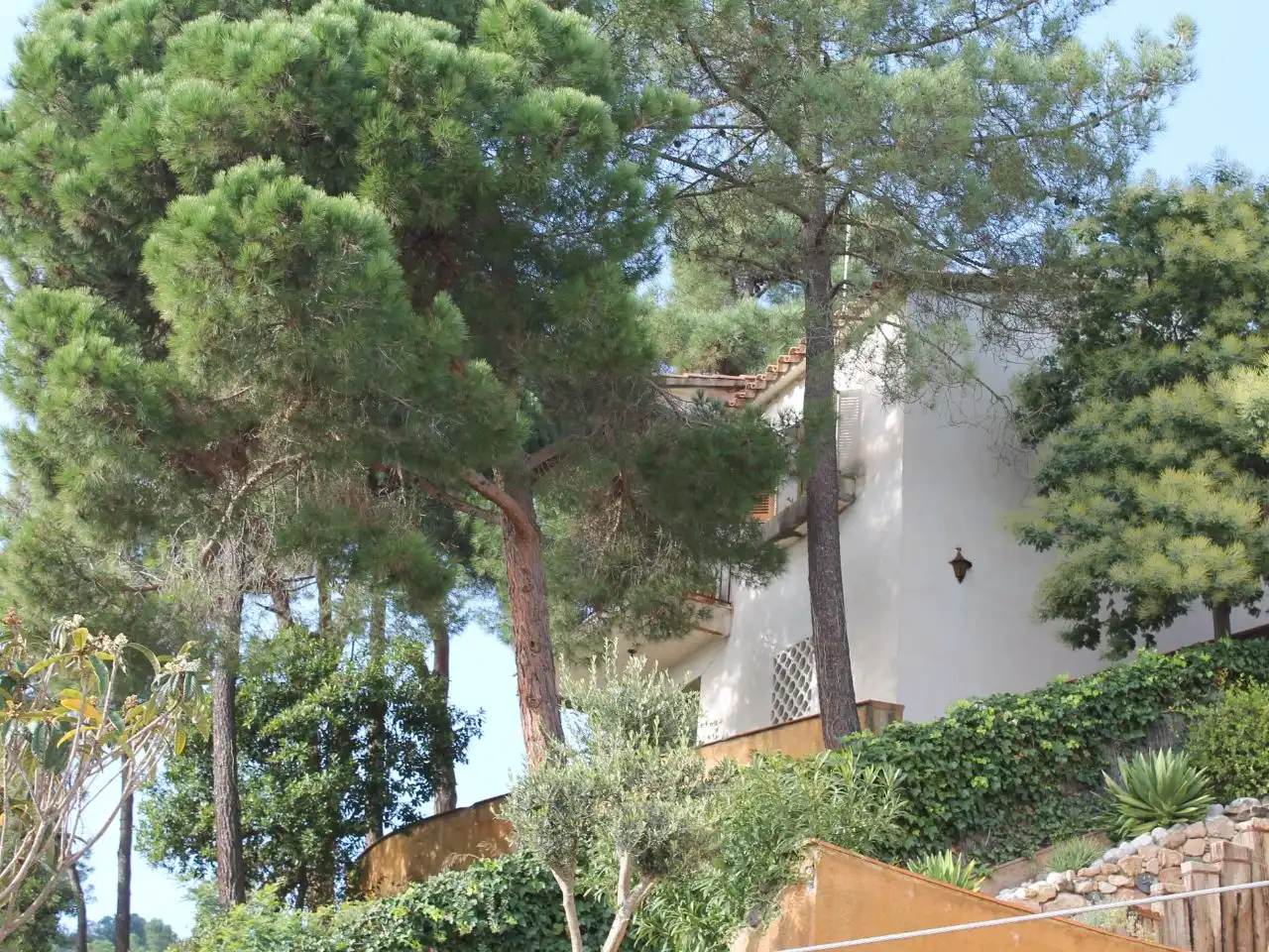 House with garden for sale in PASAJE CLAVELLS 7, imagen 7