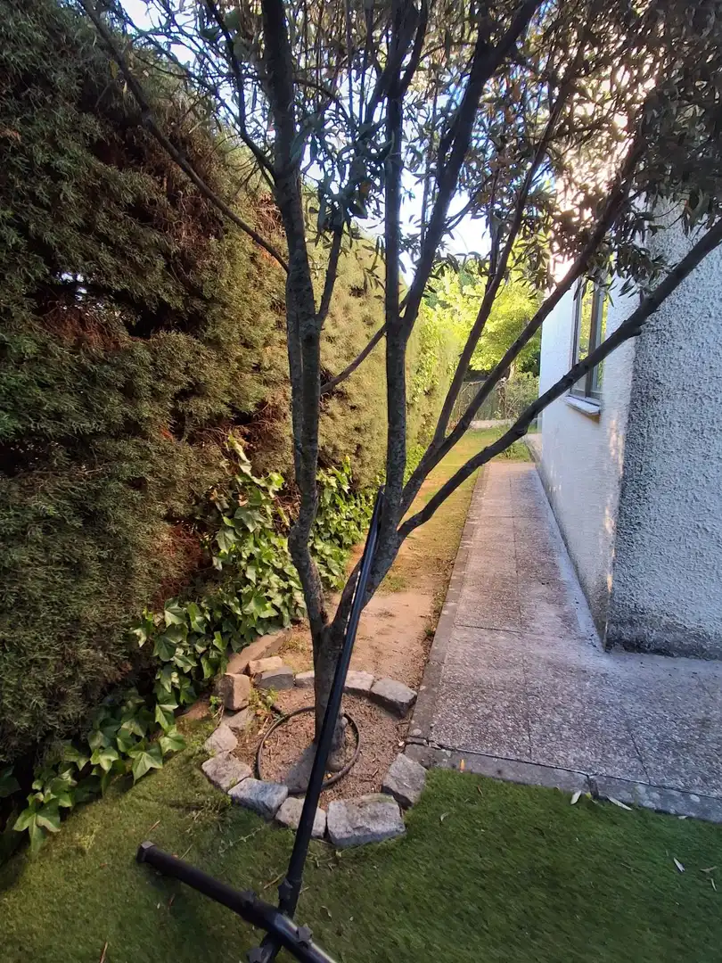 Jardín de Casa o chalet en venta en Colmenar Viejo con Aire acondicionado, Calefacción y Terraza