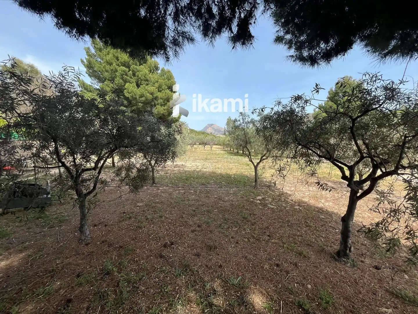 Casa o chalet en venta en Elda con Calefacción, Trastero y Piscina