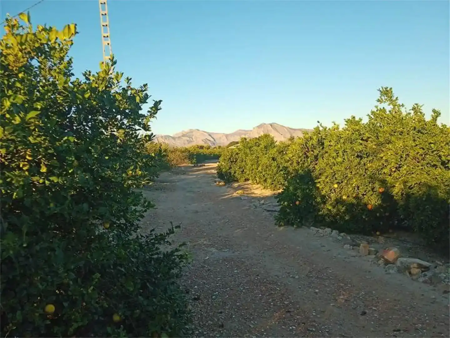 Vista exterior de Terreno en venta en Orihuela