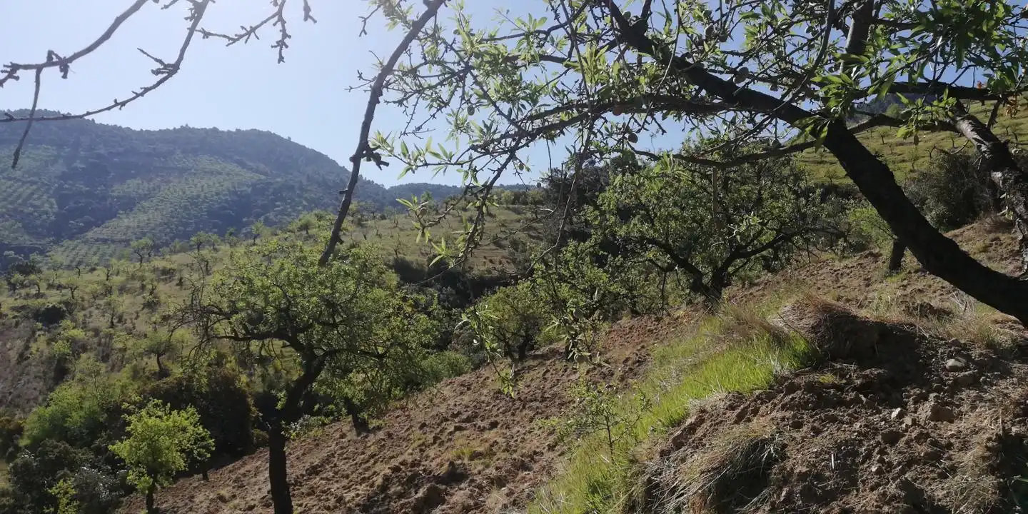 Casa rústica en venta en El Pinar, imagen 16