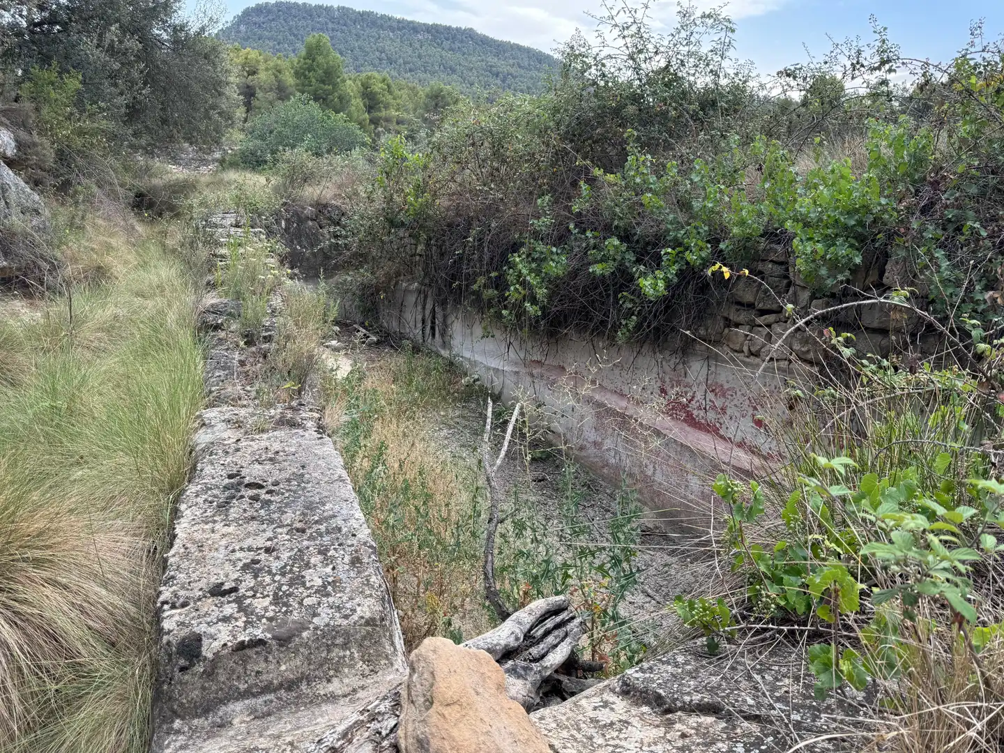 Terreni e lotti in vendita a Valderrobres, imagen 21