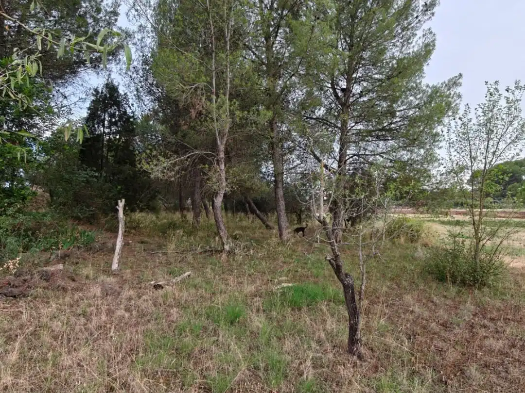 Terreno en venta en Manresa