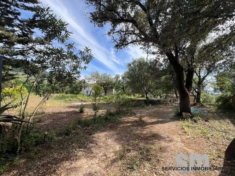 Terreno rustico in vendita a Ubrique, imagen 16