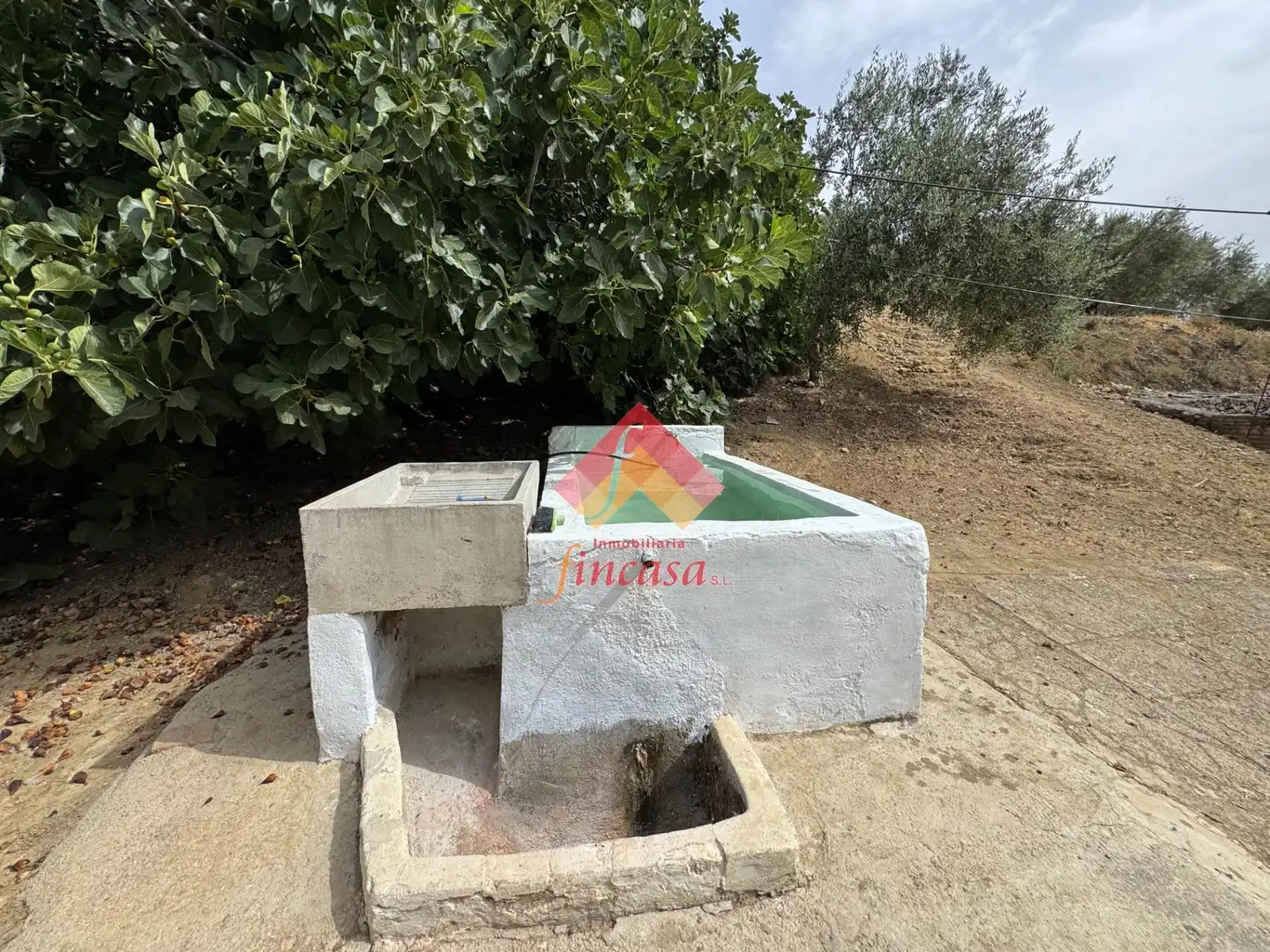 Jardí de Finca rústica en venda en Ronda amb Traster