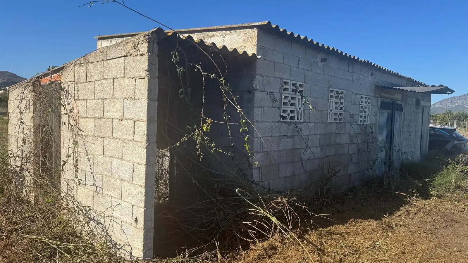 Vista exterior de Finca rústica en venta en Simat de la Valldigna