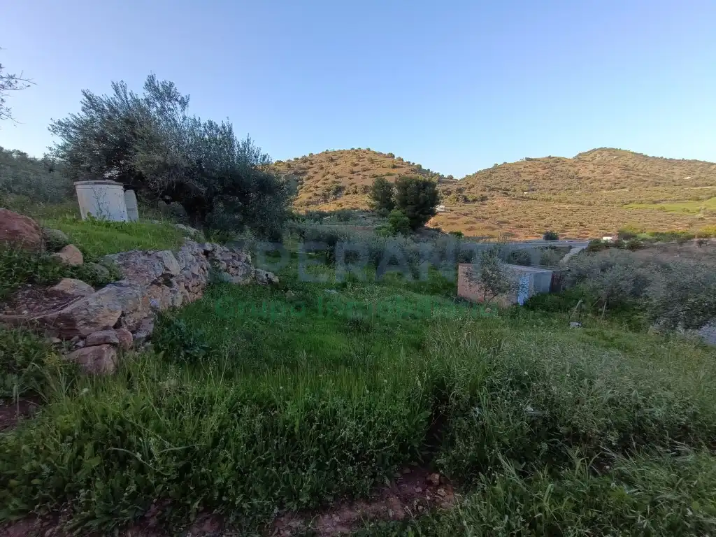 Terrenys i solars en venda a Partida Pauled, imagen 5