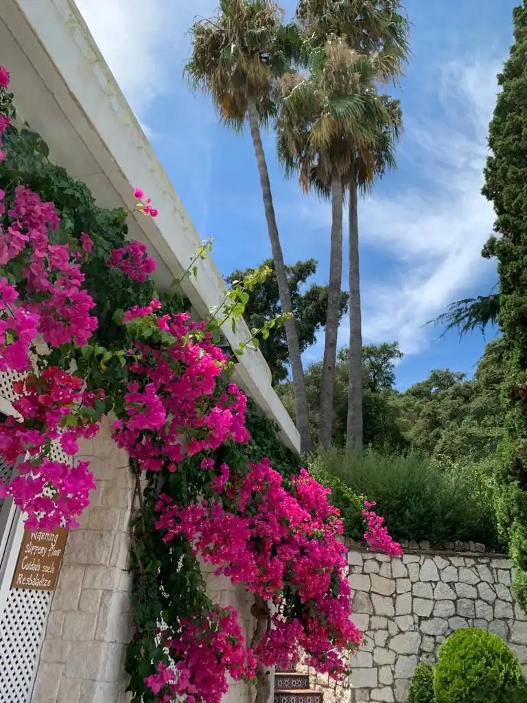 Casa amb piscina en venda a Casco Antiguo, imagen 23