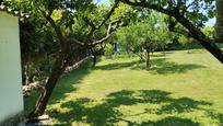 Garden of House or chalet for sale in Tomiño  with Heating, Private garden and Terrace