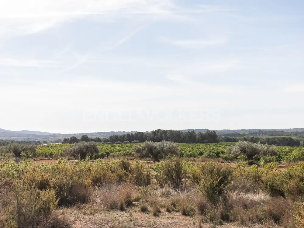 Terrenos y solares en venta en Pedralba, imagen 21