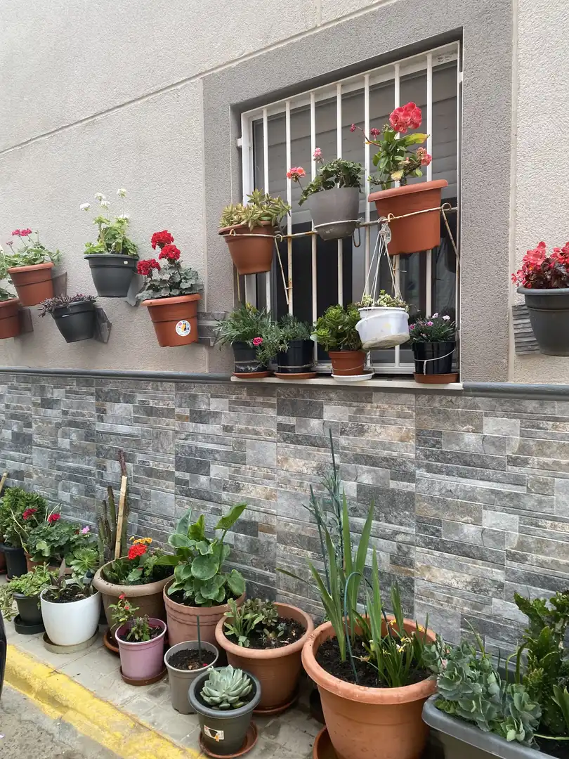 Terrassa de Casa o xalet en venda en El Ejido amb Traster