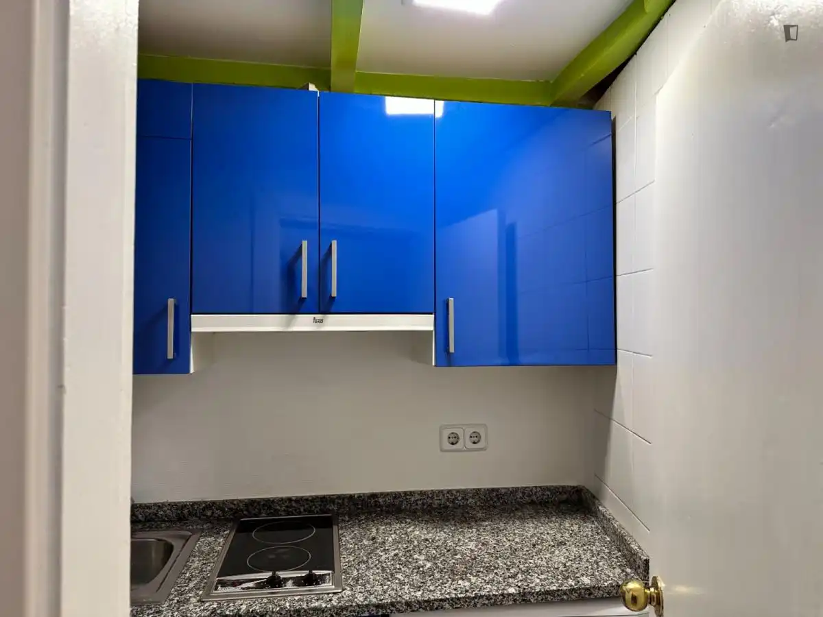 Estudio de alquiler en Embajadores - Lavapiés