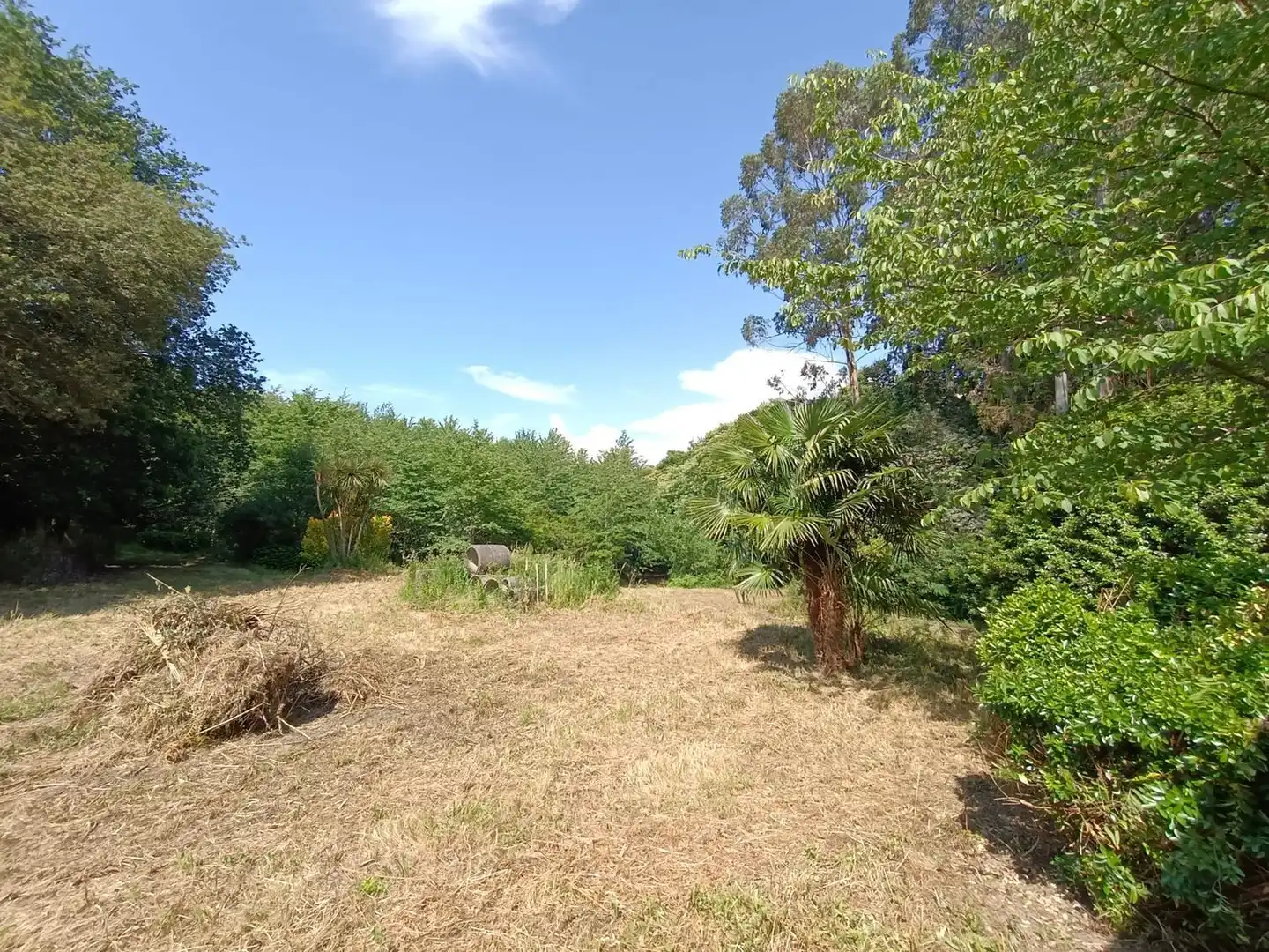 Rural land for sale in Parroquias Rurales, imagen 25