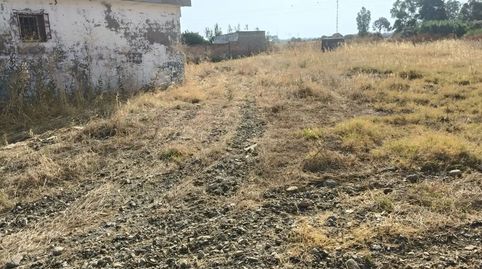 Foto 3 de Piso en venta en Calle Rosa, 255, Rinconada, La Rinconada