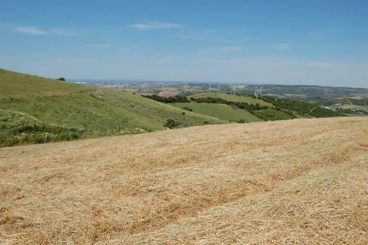 Terreni e lotti in vendita a La Muela, imagen 3