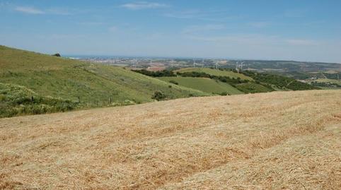 Photo 3 of Residential for sale in La Muela, Vejer de la Frontera