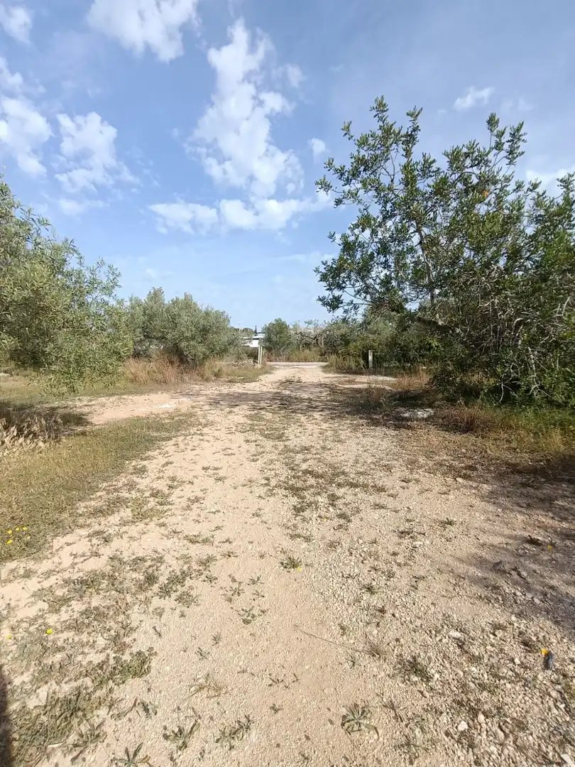 Casa en venda a Les Tres Cales, imagen 19