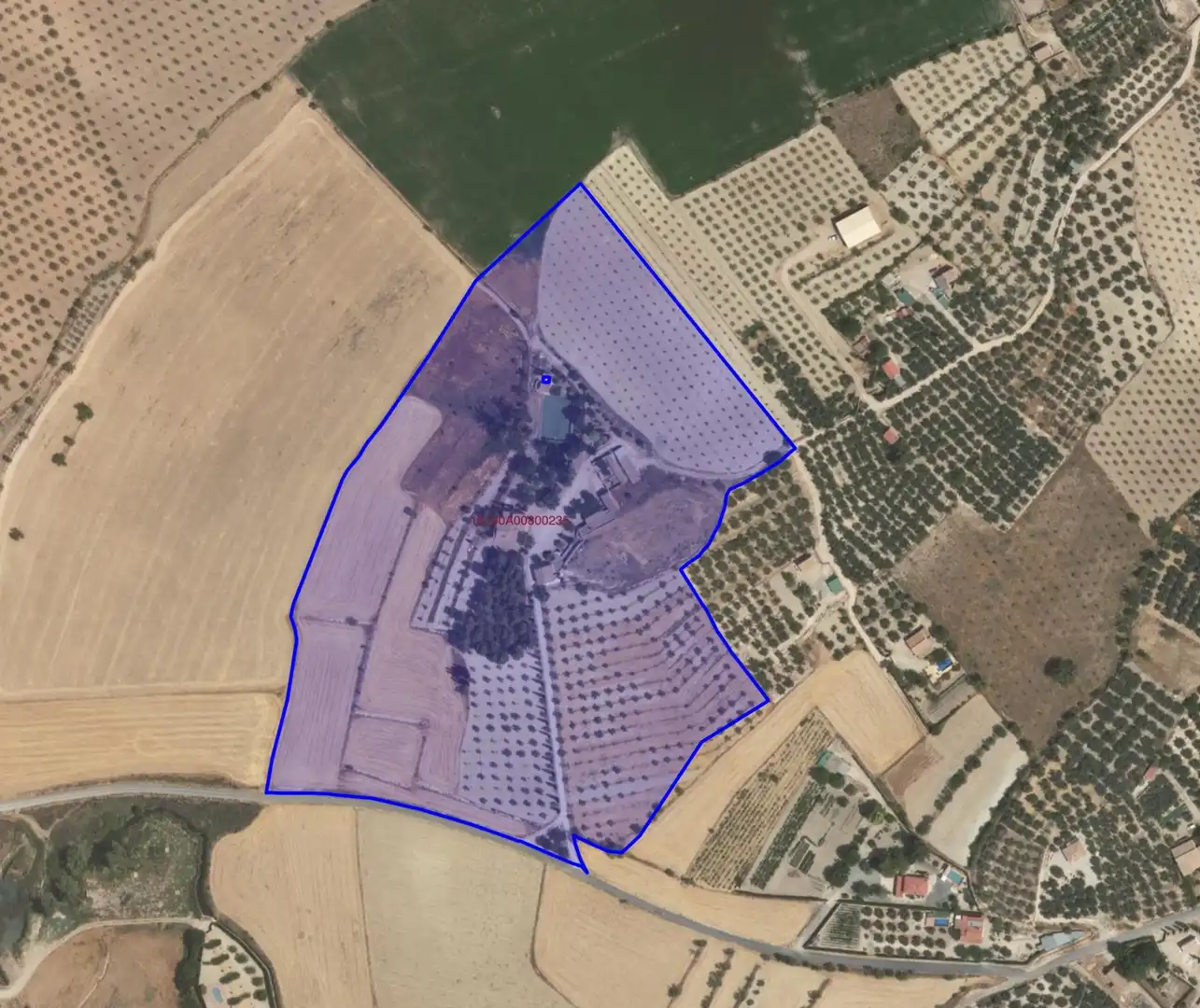 Finca rústica en venta en Huéscar