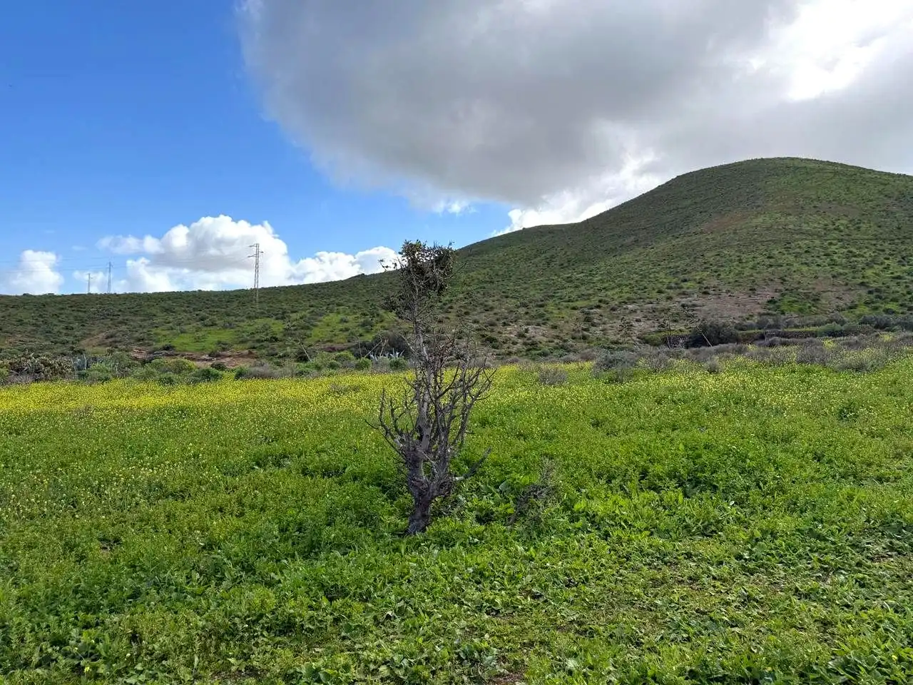Finca rústica en venta en Telde con Jardín privado y Terraza
