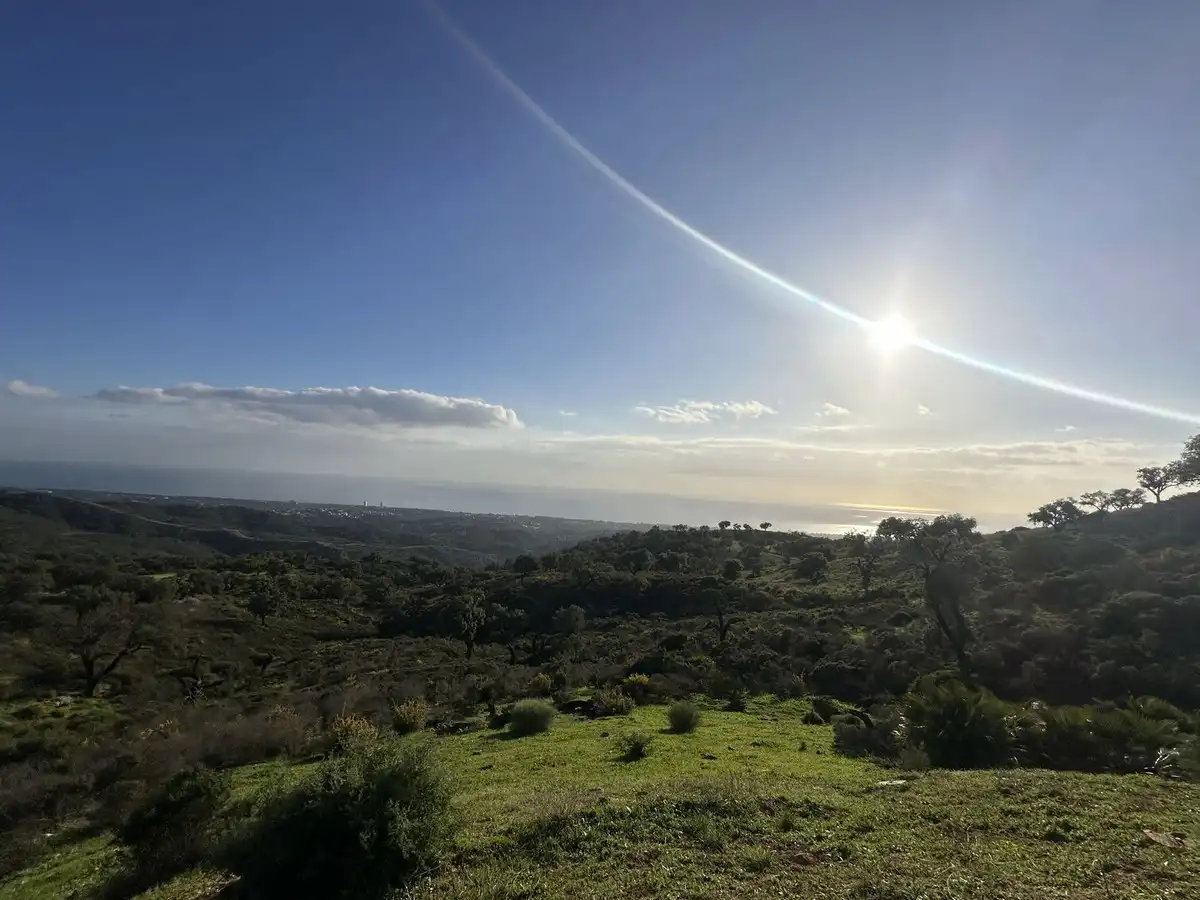 Vista exterior de Residencial en venta en Ojén
