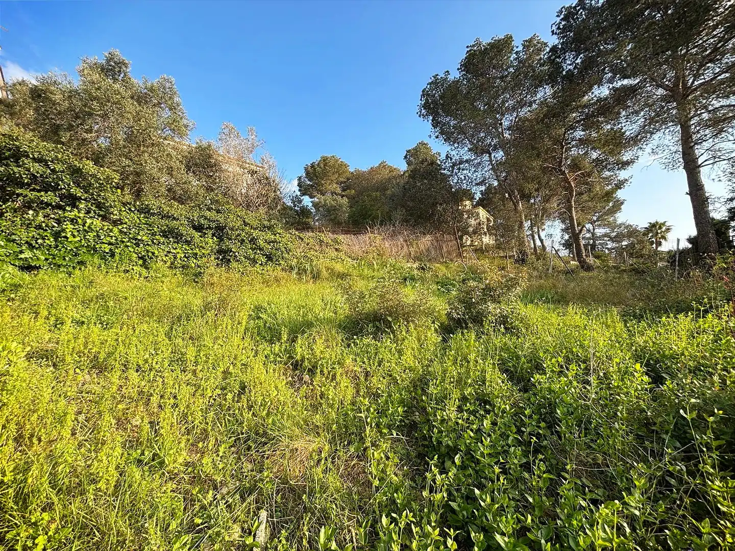 Terreno residencial en venta en Canyelles, imagen 9