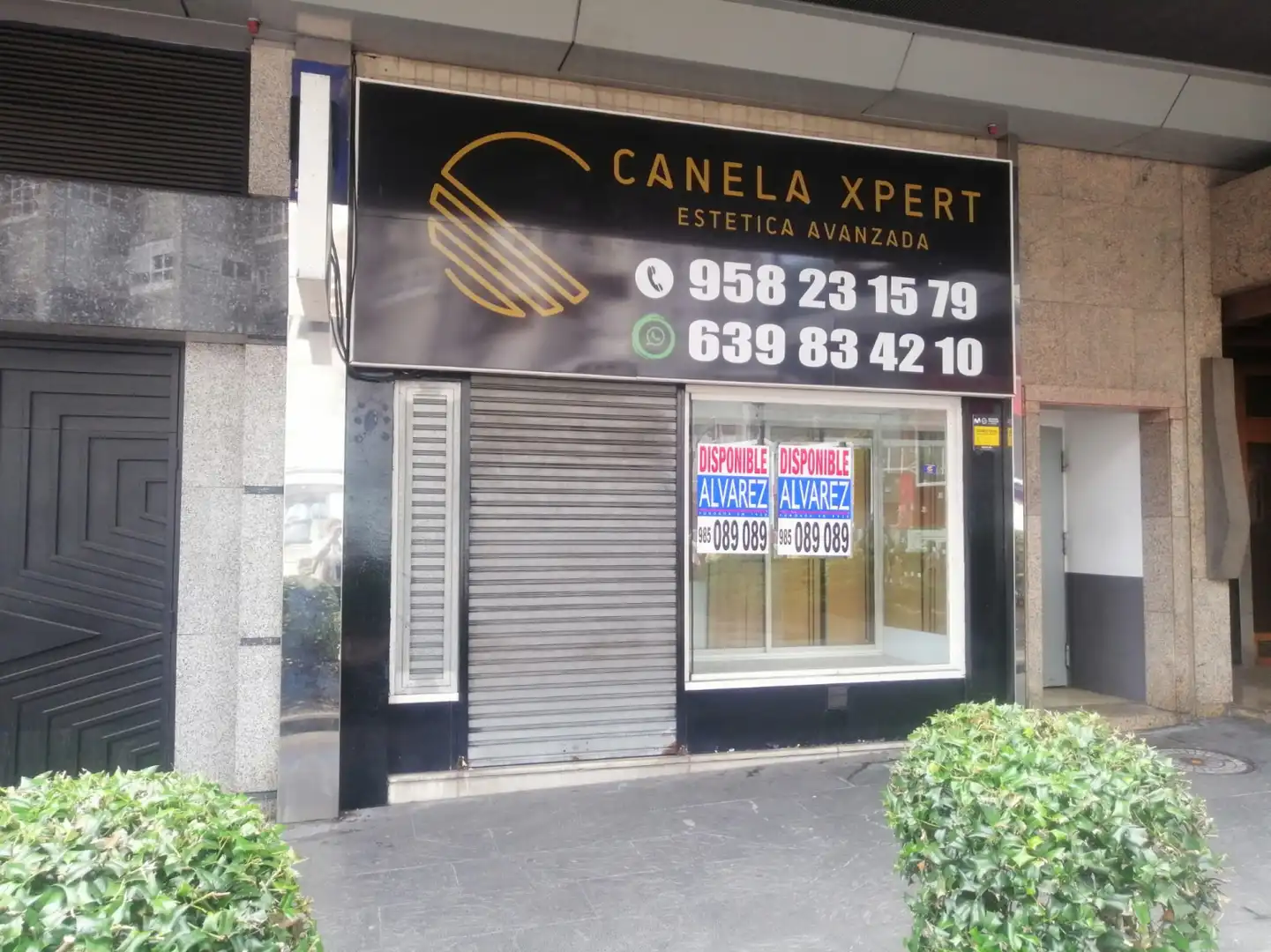 Business premises for sale in Oviedo - GENERAL ELORZA, imagen 5
