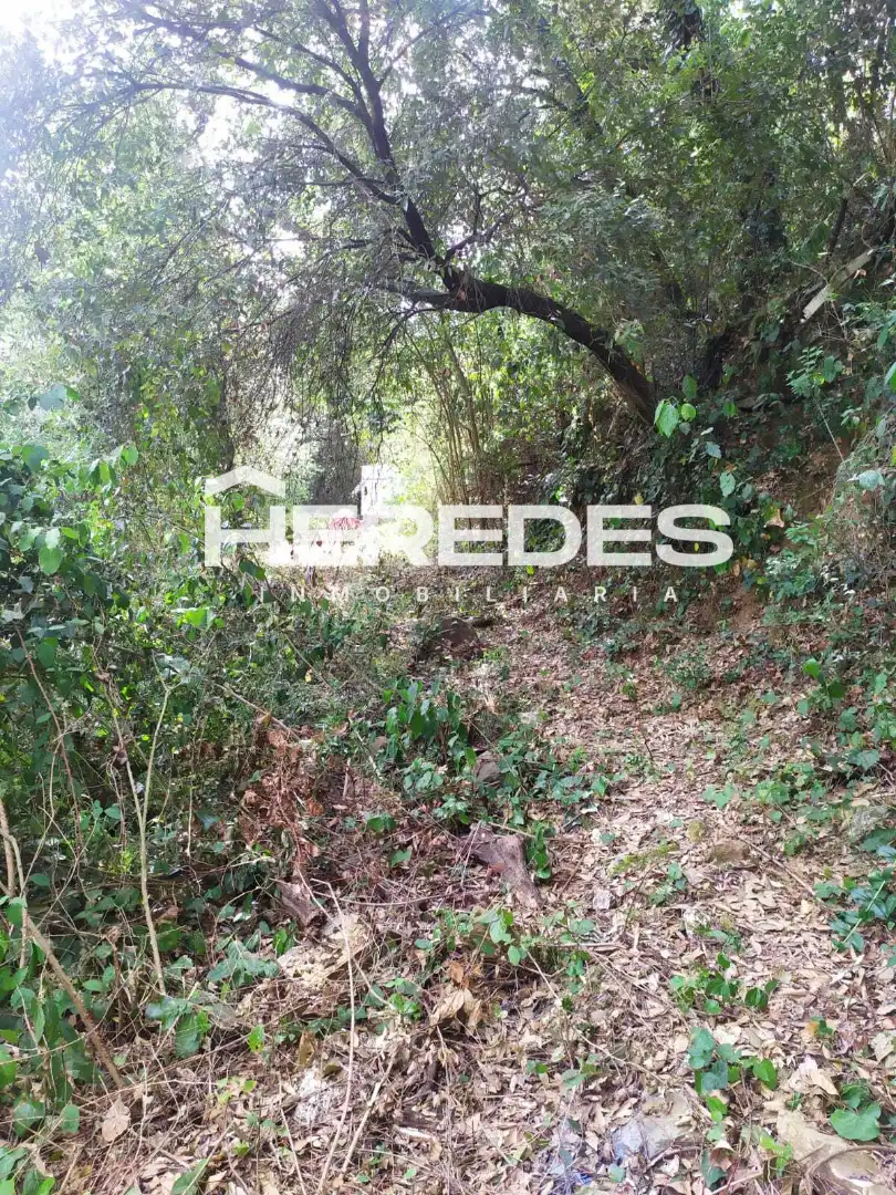 Terreno residencial en venta en Carrer Finestrelles 8, imagen 18