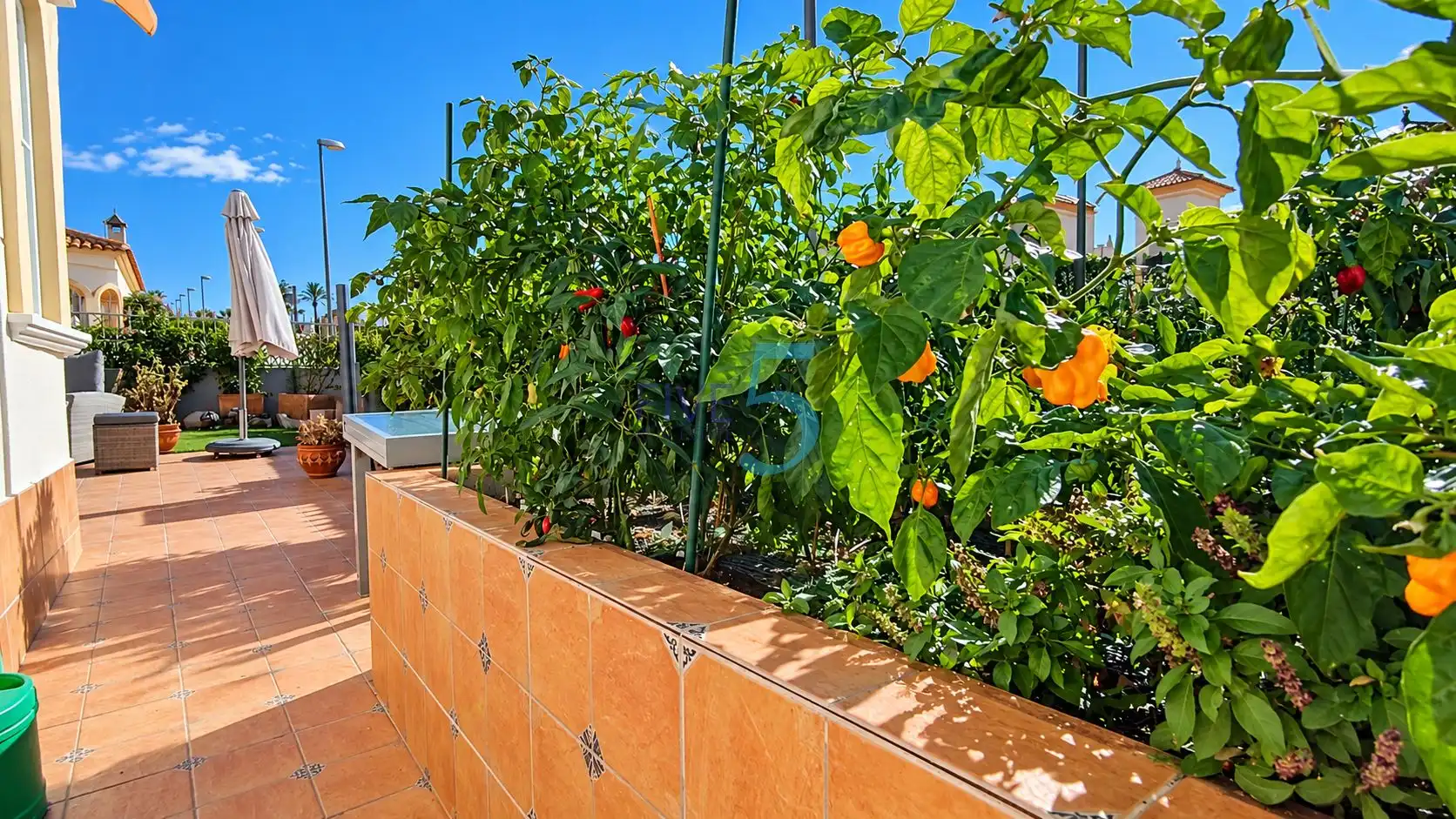 Terrassa de Casa o xalet en venda en Benimar