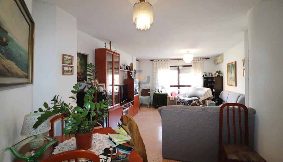 Foto 1 de Pis en venda a Glorieta del Músico Emilio Álvarez Antón, Florida Baja, Alicante