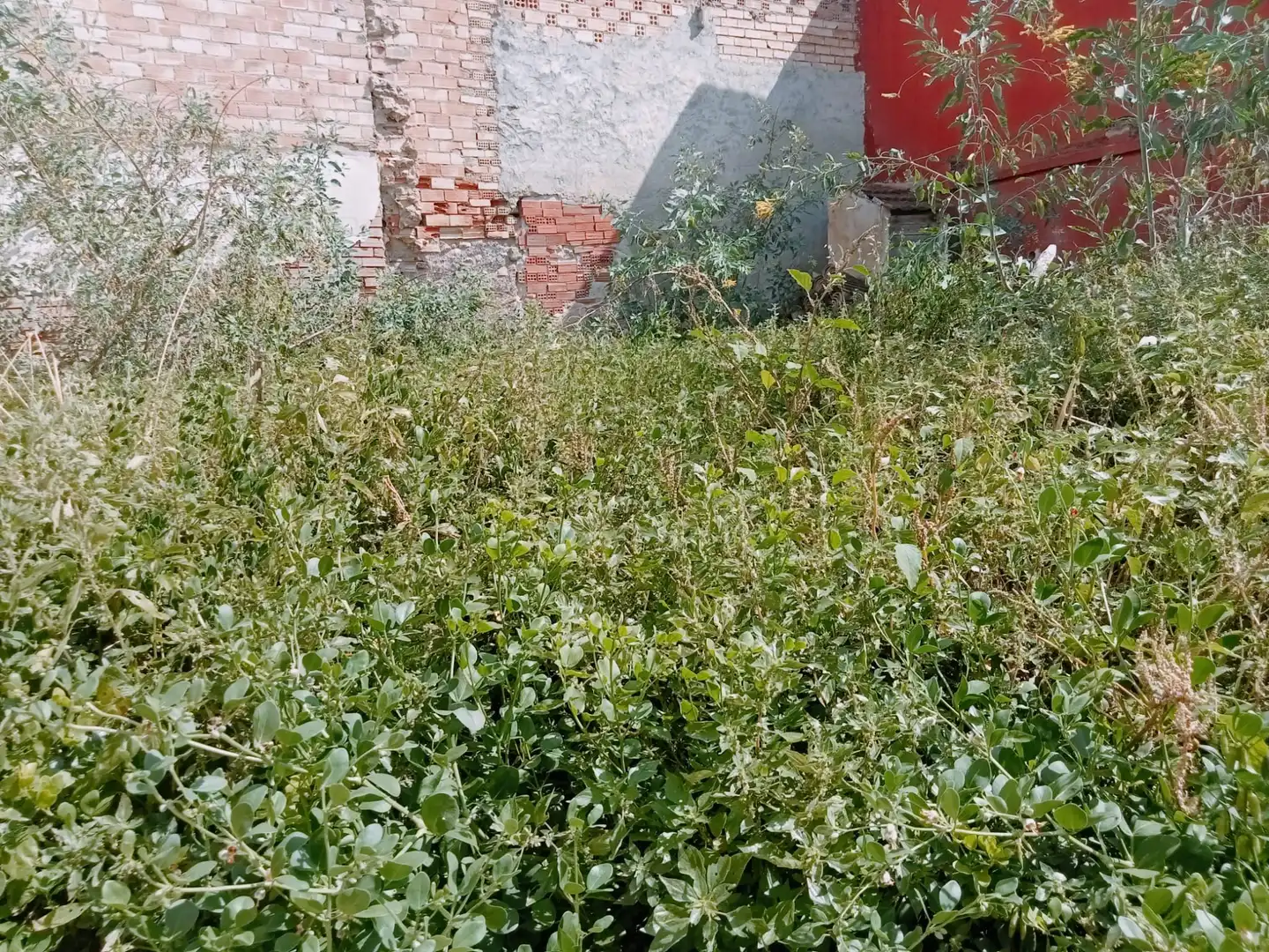 Casa o xalet en venda en Murcia
