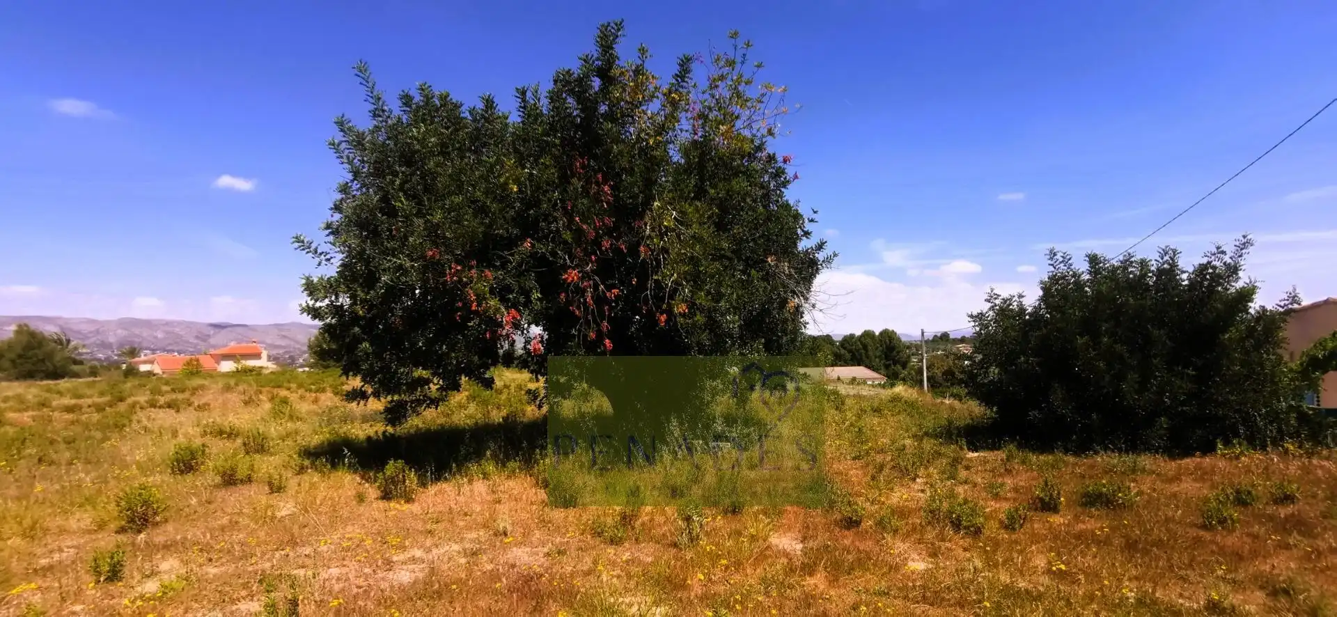 Terrain rustique à vendre à Centro, imagen 13
