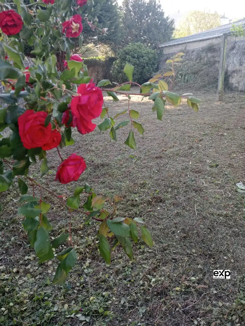Haus mit Terrasse zum Verkauf in RAMON GONZALEZ, imagen 64
