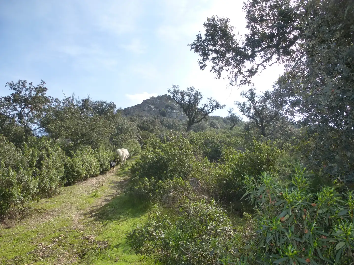 Exterior view of Land for sale in La Haba 