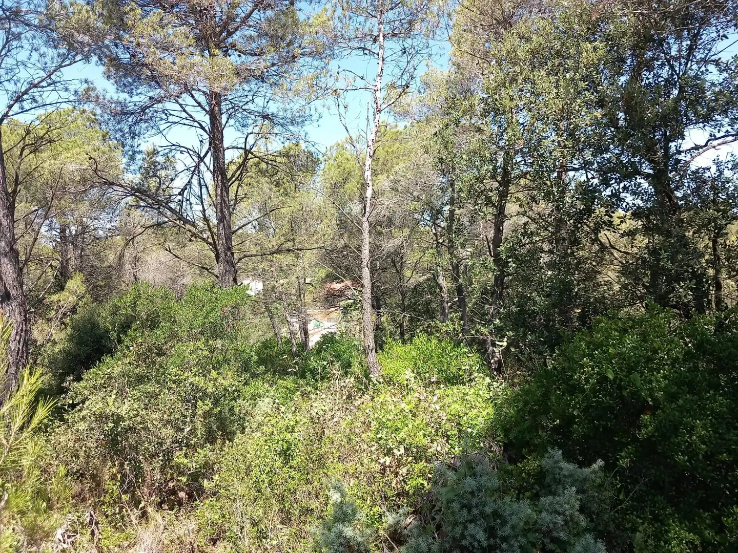 Residential land for sale in Torrelles de Foix, imagen 6