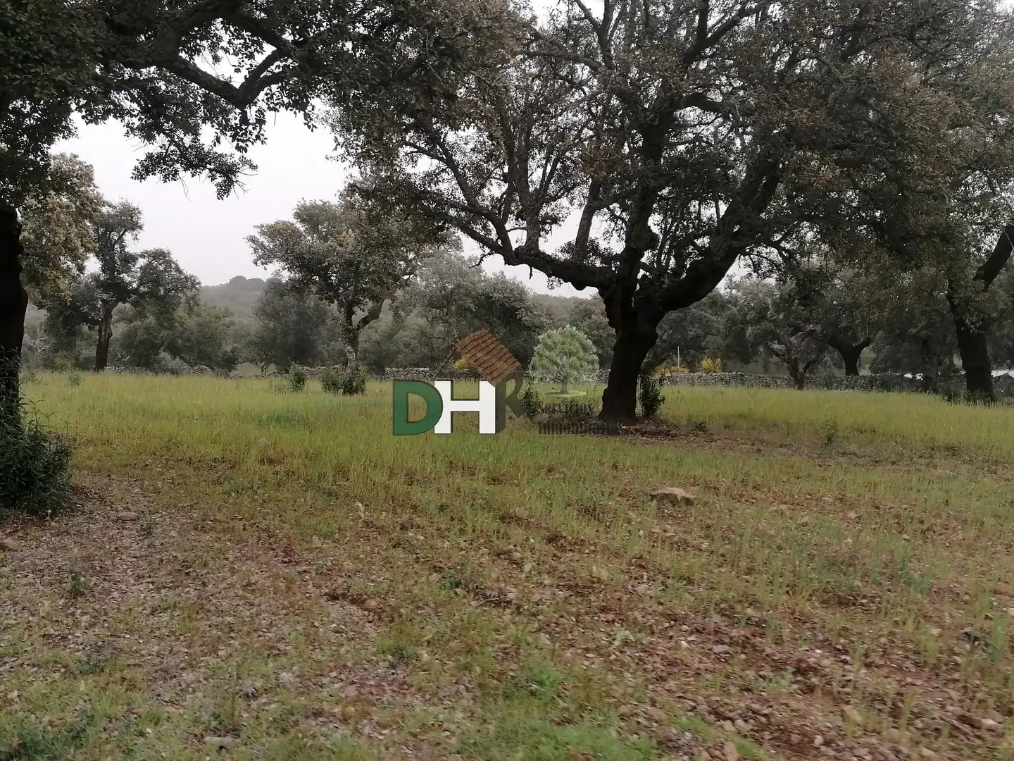 Terreni e lotti in vendita a San Roque - Ronda Norte, imagen 12