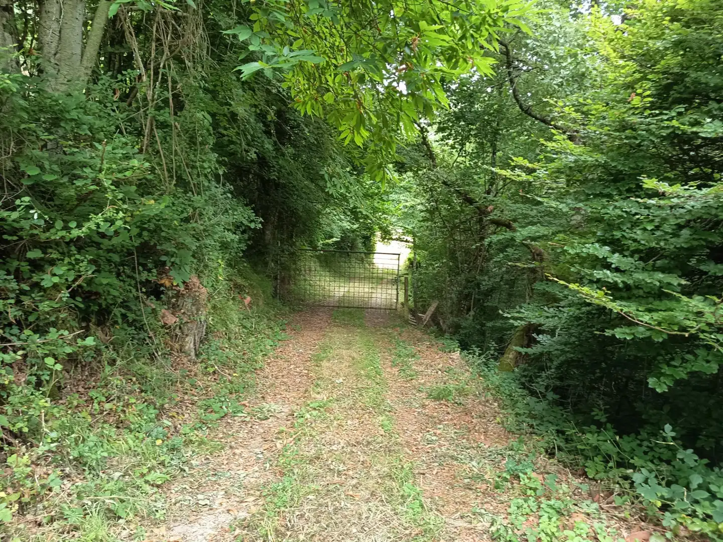 Land for sale in Basaburua