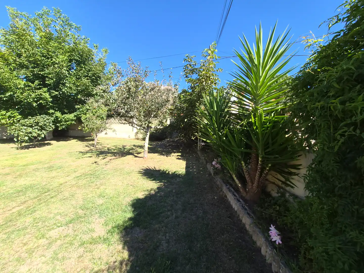 Villa con terrazza in vendita a Rúa Benito Feijóo
