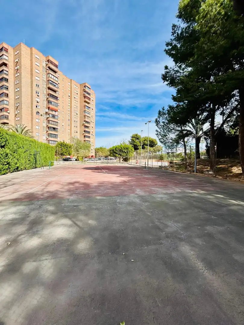 Vista exterior de Pis en venda en Alicante / Alacant amb Aire condicionat, Jardí privat i Moblat