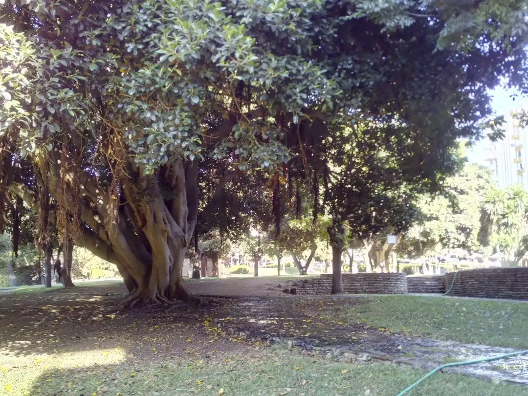Garden of Study for sale in Benalmádena  with Air Conditioner