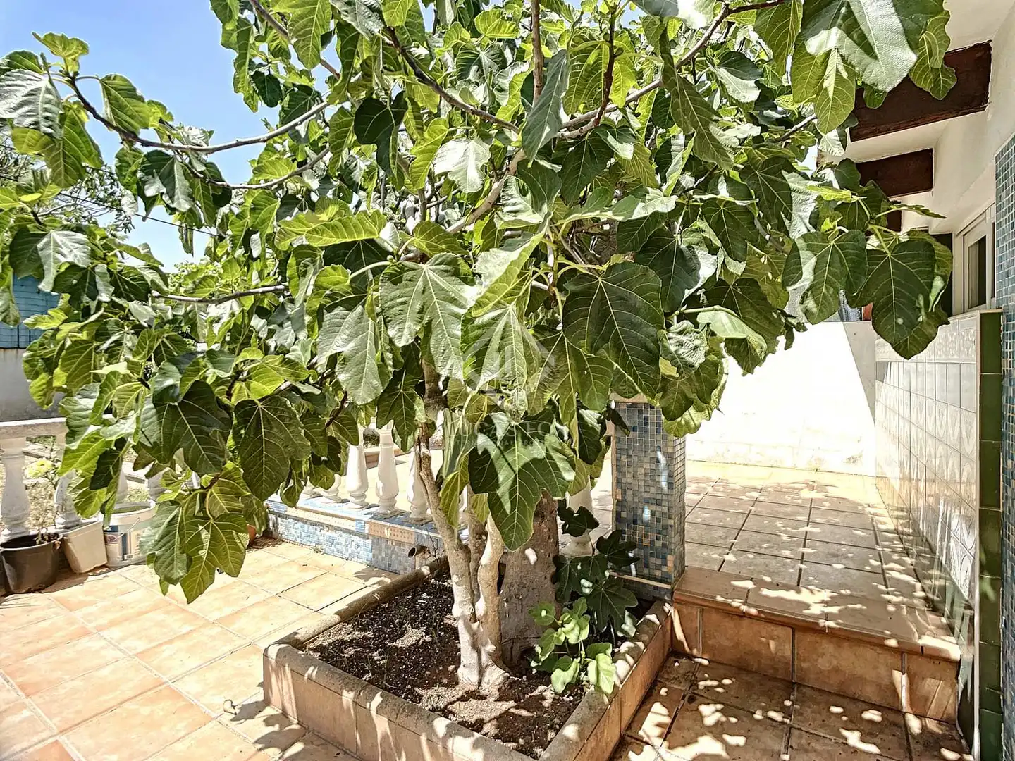 Villa avec piscine à vendre à Sant Climent - Es Canutells, imagen 10