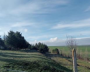 Land for sale in Arapiles
