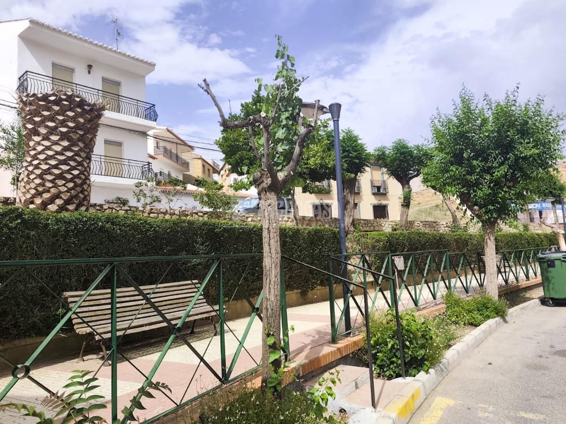 Exterior view of Single-family semi-detached for sale in Cortes y Graena